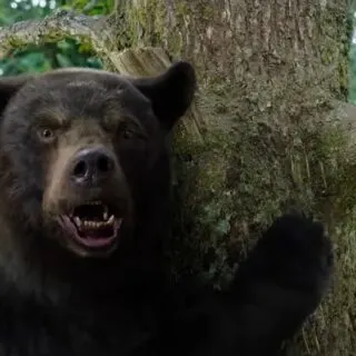 Cocaine Bear Parents Guide