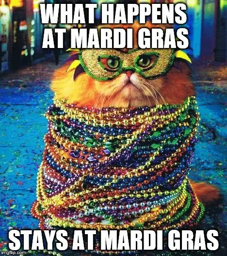 Mardi Gras Cat Meme