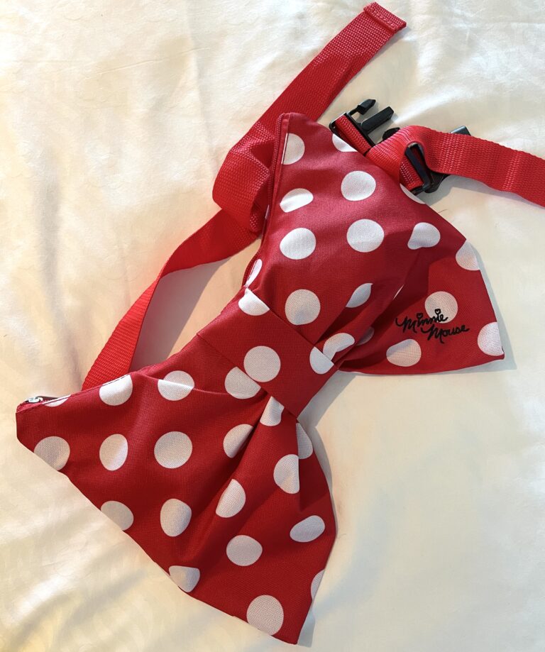 The Best Fanny Packs to Wear at Disney Parks in 2023 Lola Lambchops