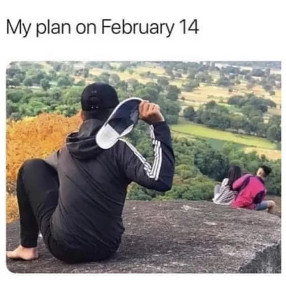 Revenge Valentine's Day Meme