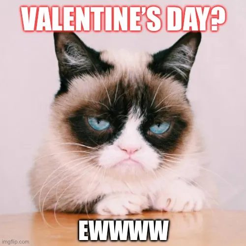 Valentine's Day Meme Grumpy Cat