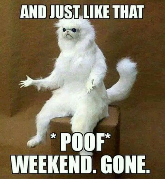 Weekend Gone Meme