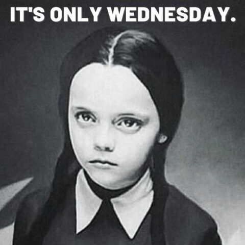 Hilarious Wednesday Hump Day Memes To Make You Laugh - Lola Lambchops