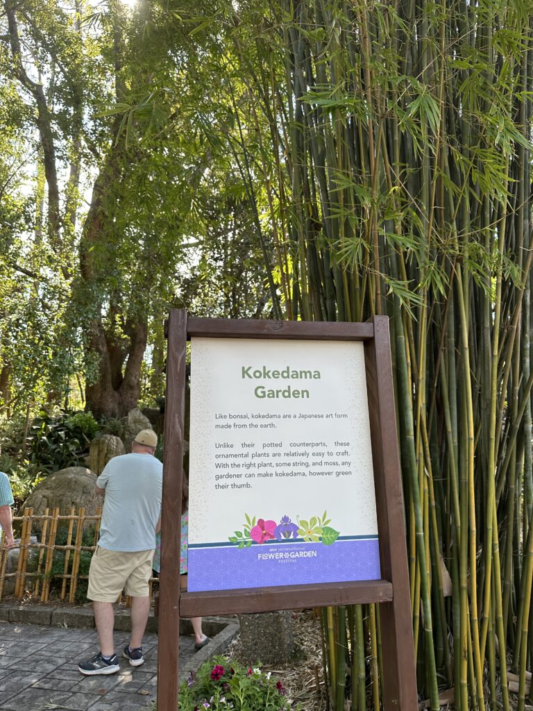 Kokedama Garden location