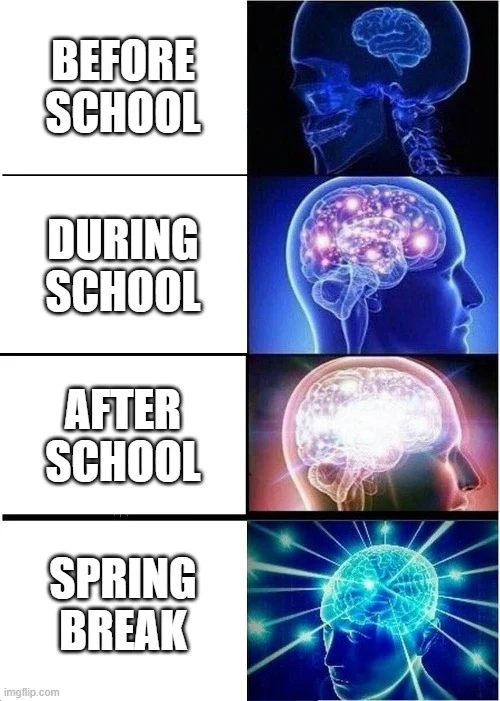 Spring Break brain meme