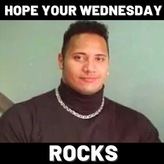 Wednesday Hump Day Meme