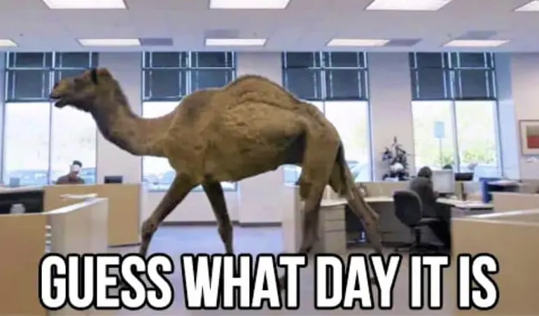 Funny Hump Day Memes