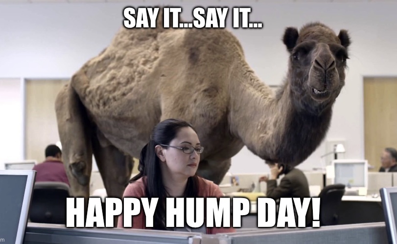 Happy Hump Day Meme