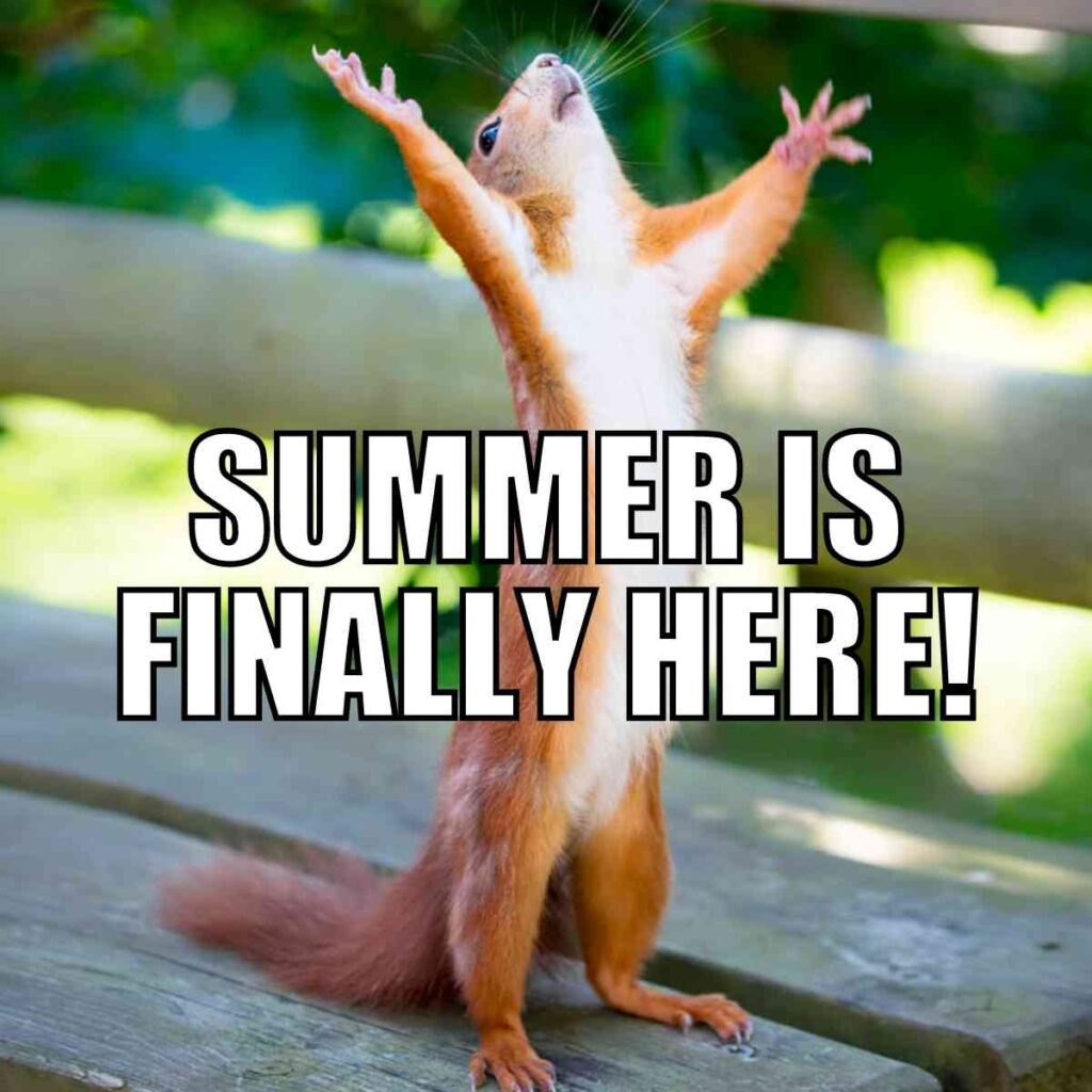 summer vacation meme