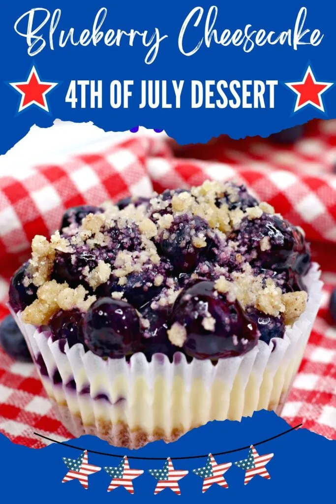 Blueberry Cheesecake 4th of July Dessert