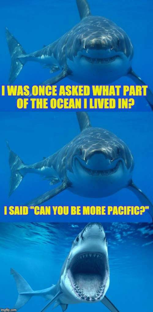 Funny Shark Week Memes for 2023 - Lola Lambchops