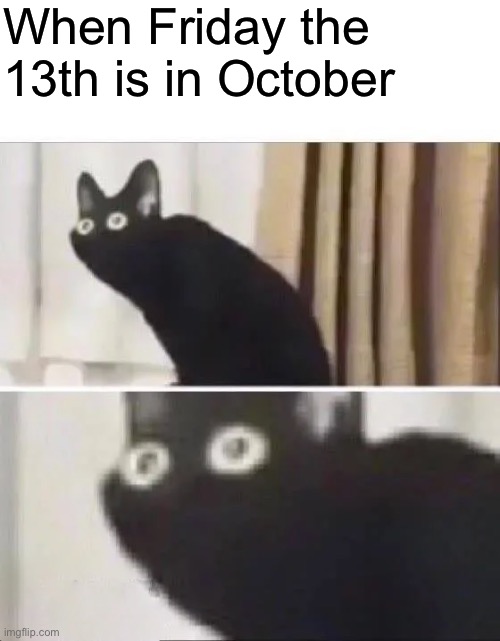 Black Cat Meme Friday the 13th