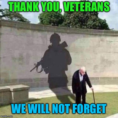 Veterans Day Meme 2023