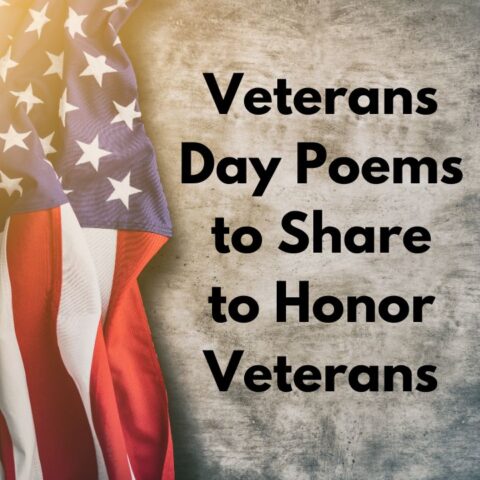 Veterans day gratitude