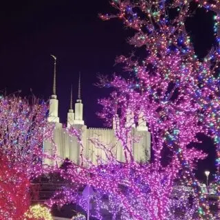 Washington DC Festival of Lights 2024