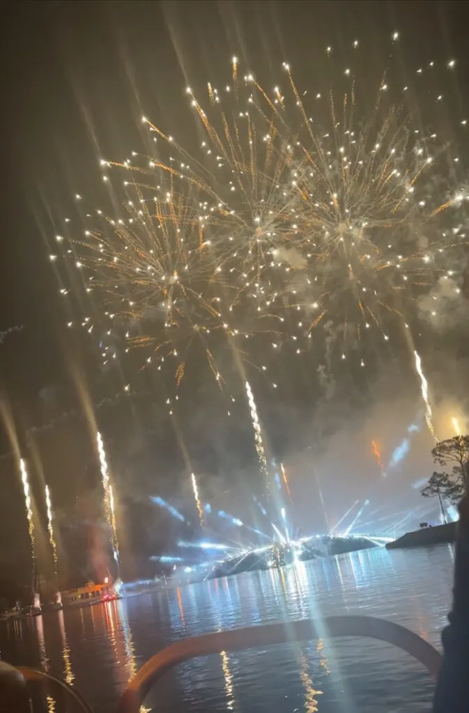 Disney World Fireworks Cruise Review