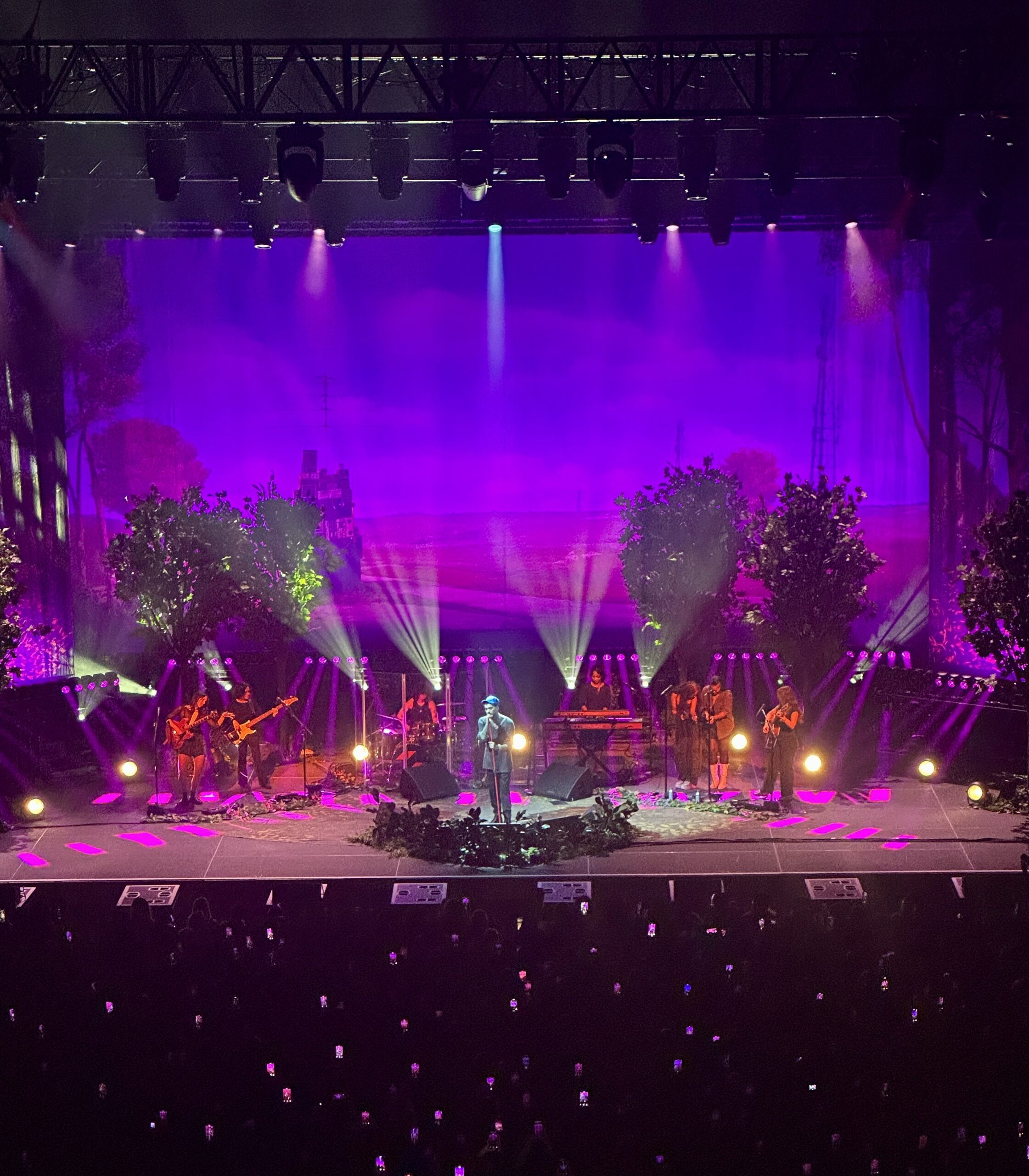 Zayn Stairway to the Sky Tour: What Really Happened Behind the Scenes