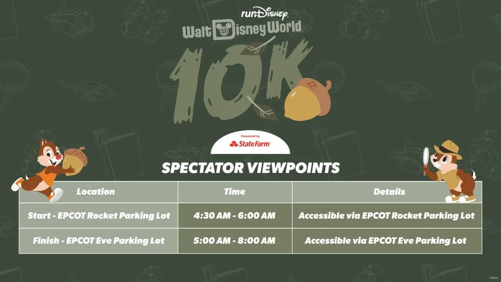 Disney World 10K Cheering Spots
