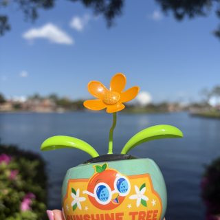Orange Bird Spike Scavenger Hunt Prize EPCOT