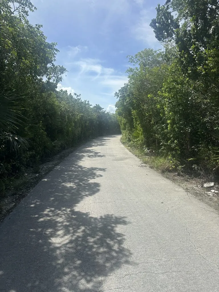 Castaway Cay 5K Running Trail