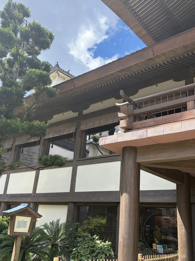 Remy's Hide and Squeak Answers Japan